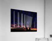 Sunset Branches Acrylic Print