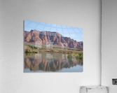 Desert Oasis Acrylic Print