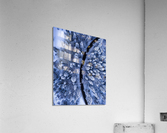 The road not taken  Acrylic Print