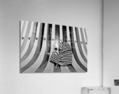 Untitled  Acrylic Print