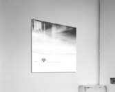 Poems of silence  Acrylic Print