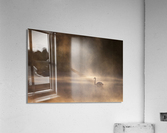 Foggy morning  Acrylic Print