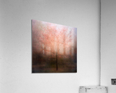 Dream come true  Acrylic Print