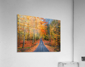 Road into autumn  Acrylic Print