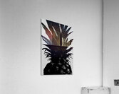 Pineapple bw  Acrylic Print
