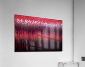 The wicker frontiers  Acrylic Print