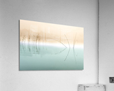 2140402 1638545425.2715  Acrylic Print