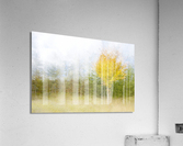 2156830 1638545449.7898  Acrylic Print