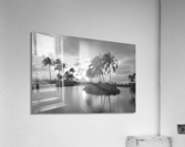 The Black and White Collection 115 for the Rare Masters Series Limited Patron Edition Printing of 50 Acrylic Print
