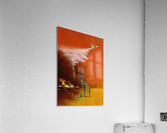 Fire Acrylic Print