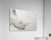 Save the Rhino Acrylic Print