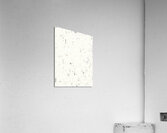 F S 119  Acrylic Print
