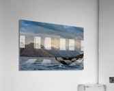 Whale Watching Acrylic Print