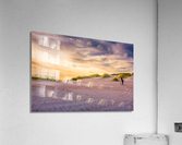Stroll Through Vast Sand Dunes Acrylic Print