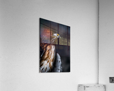 Red Tailed Hawk Profile Acrylic Print
