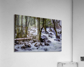 Bridalveil Roaring River Acrylic Print