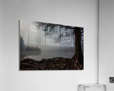 Foggy Morning at Red Bud Isle in Austin  Texas Acrylic Print