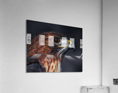 Close Up of a Red tailed Hawk s head Acrylic Print
