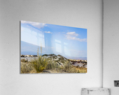 White Sands National Park    Las Cruces  New Mexico Acrylic Print