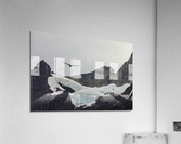 Bird flying over the Mountains in Patagonia Acrylic Print