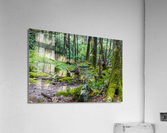 Tranquil Trails Acrylic Print