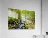 Tranquil stream in the Great Smoky Mountains  Acrylic Print