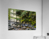 Alone With The Sounds of Running Water in Alum Cave Trail Acrylic Print