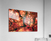 Vibrant Fall Tree Acrylic Print