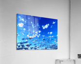 Just Need Bombers Acrylic Print