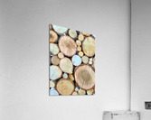 Wood You Like To See Inside Acrylic Print