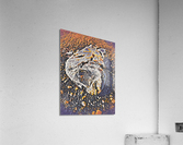 Thirsty In West Palm Beach Acrylic Print