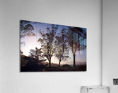 Sunset at Tank Hill II Acrylic Print