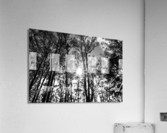 Sutro Peak Acrylic Print