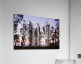 Sunset at Tank Hill I Acrylic Print