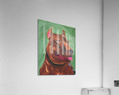 Pitbull   Acrylic Print