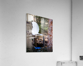 Rustic Toilet 2 Acrylic Print