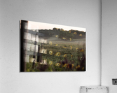 Foggy Fenceline Acrylic Print