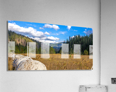 Sunny Park Acrylic Print