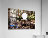Rustic Toilet Acrylic Print