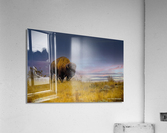 Strength of the Wichitas Acrylic Print