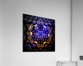 Holographic Universe Acrylic Print