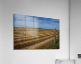 Normandy field Acrylic Print