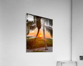 540B8F4D 0DE4 4F80 BA41 8EB8AD8AA69A Acrylic Print