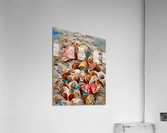 5CA726A1 6F4C 4B52 8849 EB058BC23E63 Acrylic Print