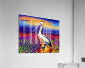 3EBBEDBF 934F 41E5 9E96 A289D07A36F6 Acrylic Print