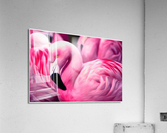 5301516A 516B 4F15 89D6 5B1488CB8DF1  Acrylic Print