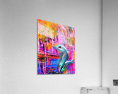 Naples Dolphin Peering  Acrylic Print