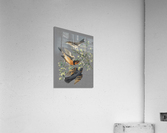 Bringing the Music 2 Acrylic Print