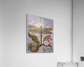 Bouquet and Dragonly Acrylic Print