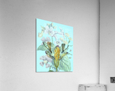 Dragonfly Duet Acrylic Print